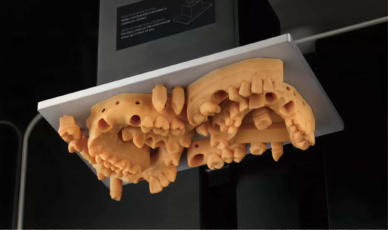 모델 프로 오렌지 수지