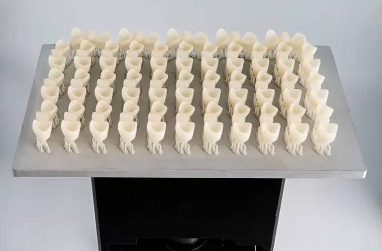 임시 크라운 & 다리