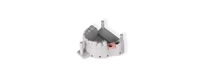 소프트 핑크 2.0 수지