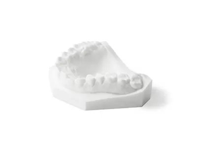 레코드 모델 수지