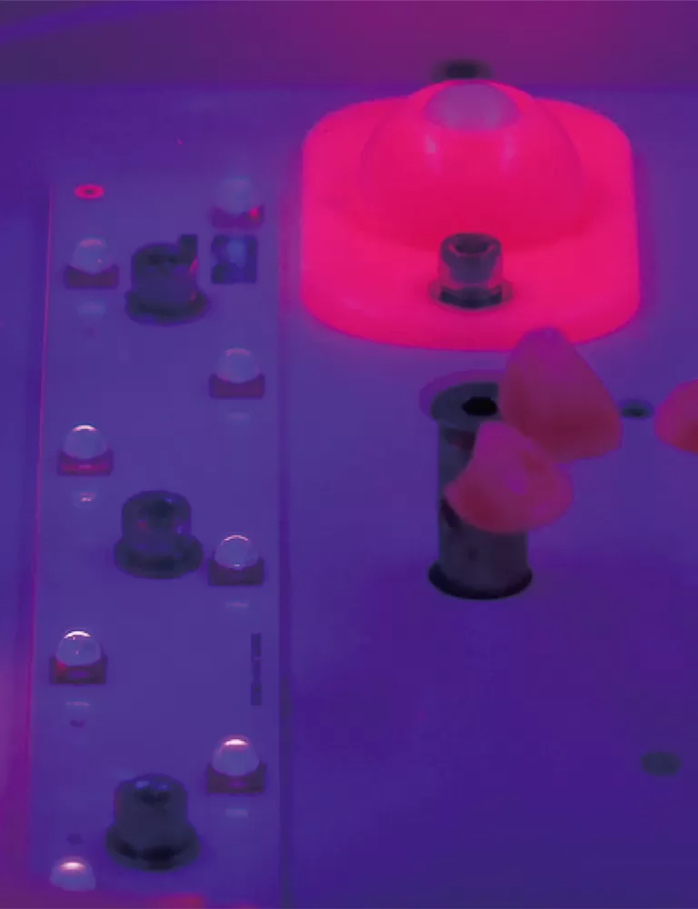 RAYSHAPE 전문 사후 처리 솔루션으로 3D 인쇄물을 높이십시오.