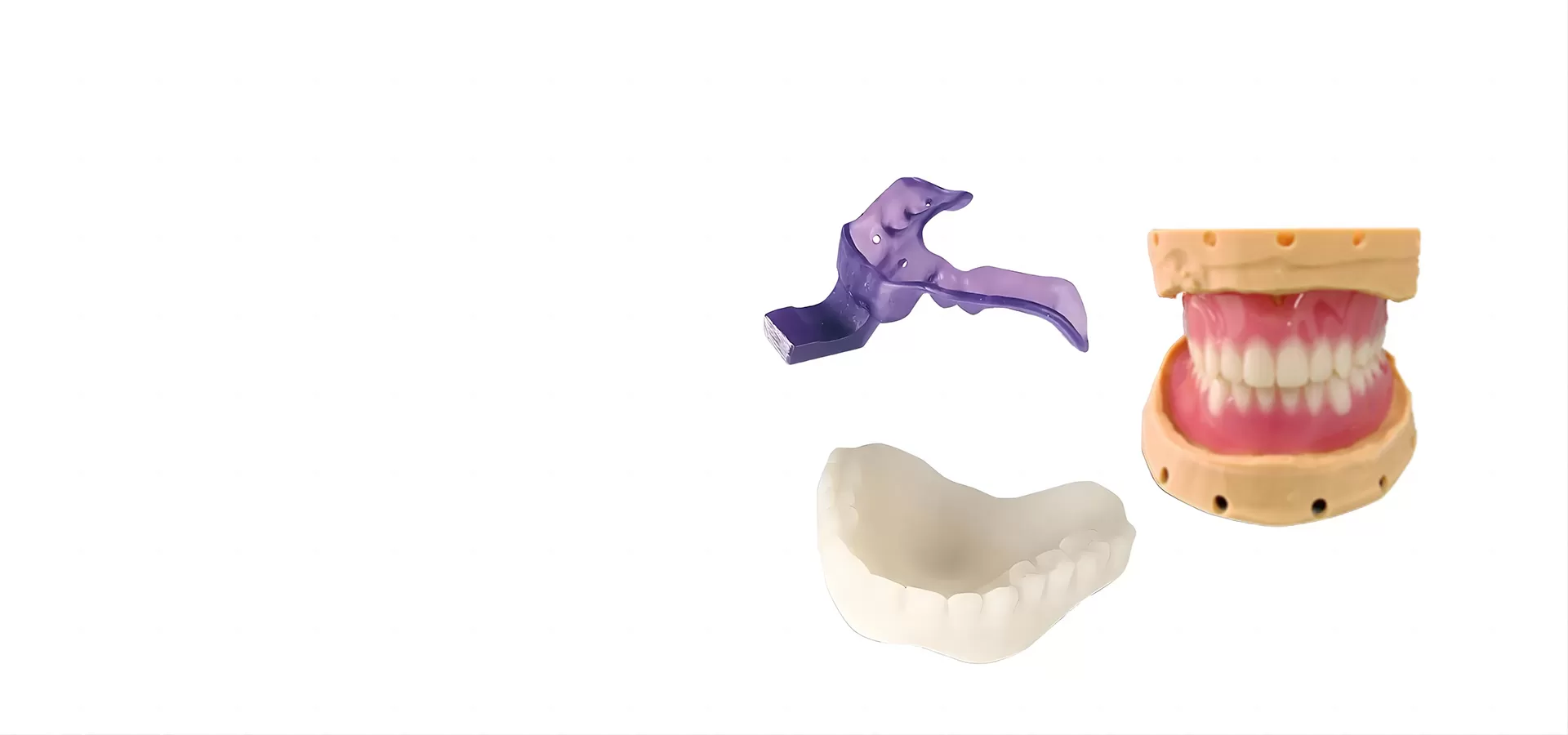 정밀 의학 및 맞춤형 맞춤형