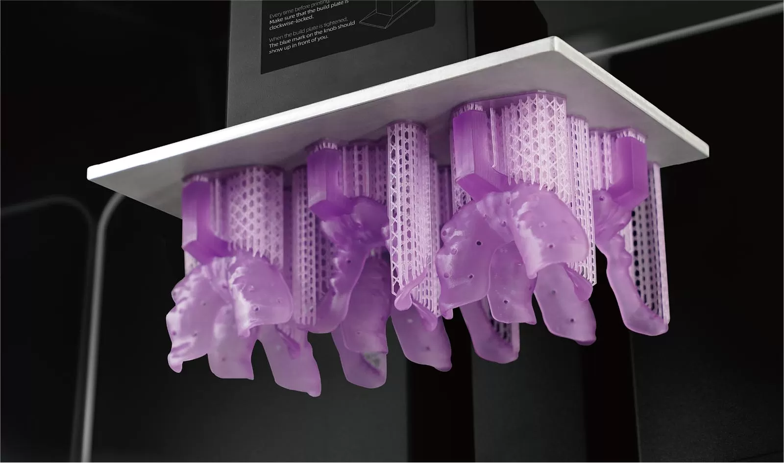 트레이 보라색 수지